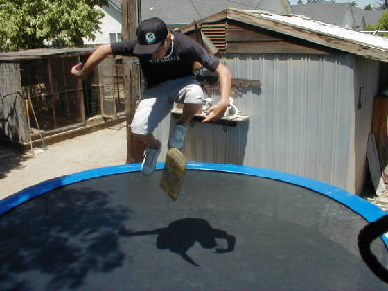 hardflip.jpg